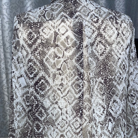 Unleash Your Inner Wild: Creative Commune Sheer Oxford Blouse T3 - Picture 3 of 4